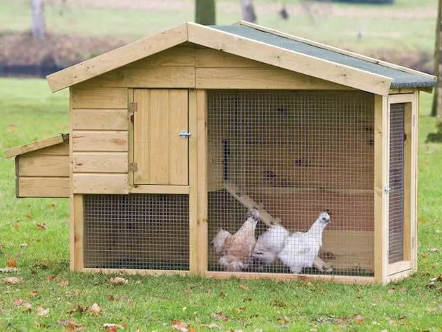 How to build a chicken coop in the country with your own hands 