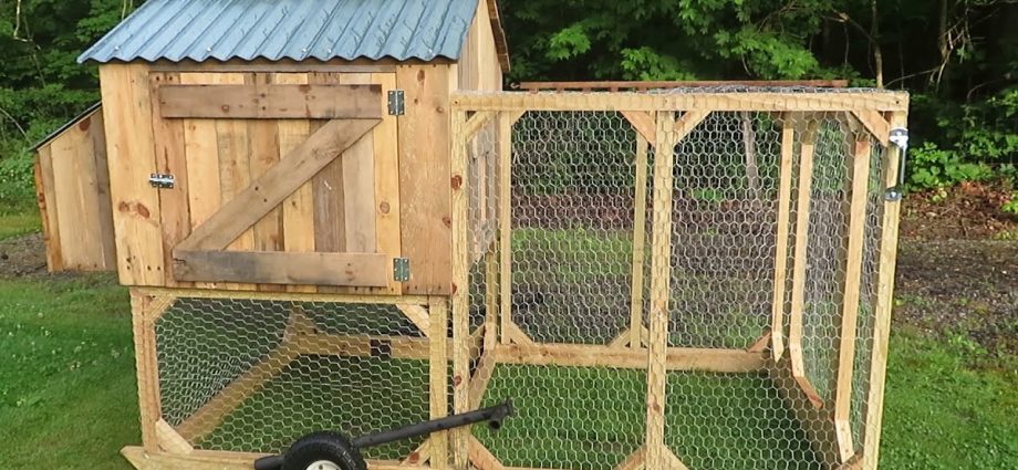 How to build a chicken coop out of pallets 