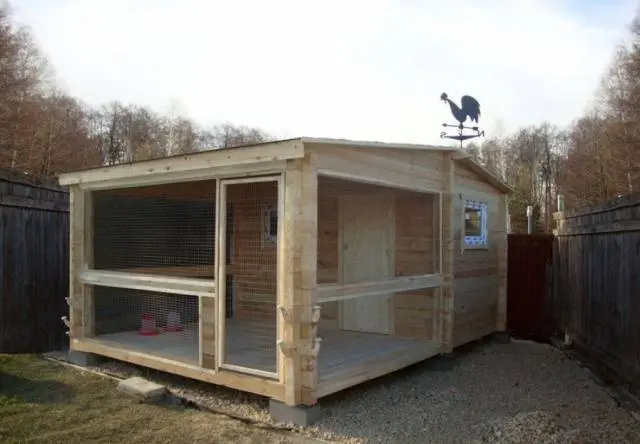 How to build a do-it-yourself chicken coop for 50 chickens