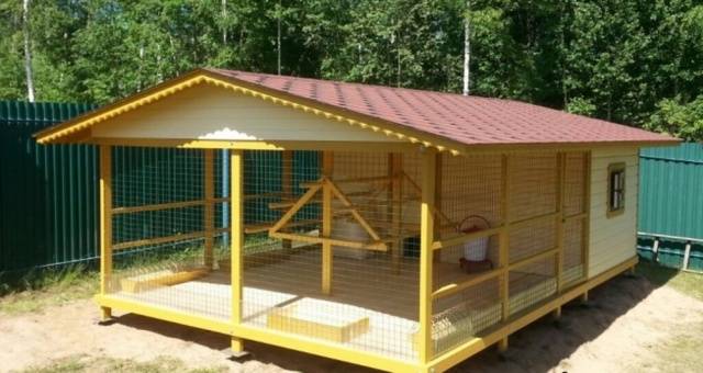 How to build a do-it-yourself chicken coop for 50 chickens