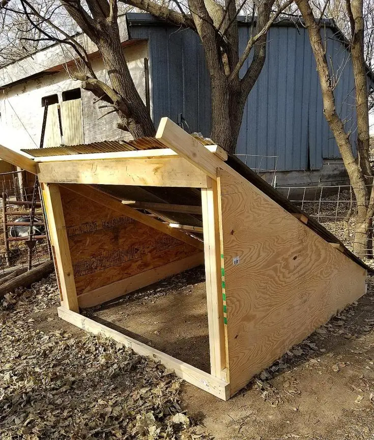 How to build a do-it-yourself pig shed 