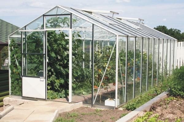 How to build a do-it-yourself polycarbonate greenhouse - plodovie.ru