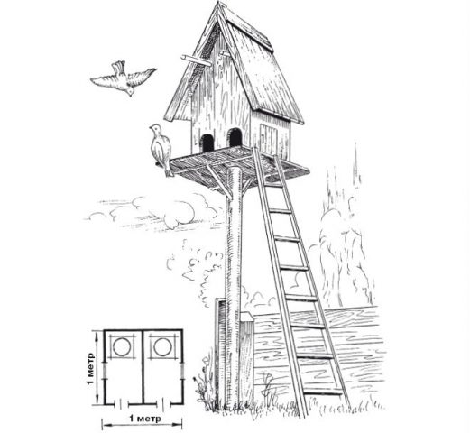 How to Build a Dovecote and Pigeon Nests