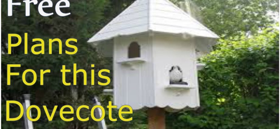 How to Build a Dovecote and Pigeon Nests