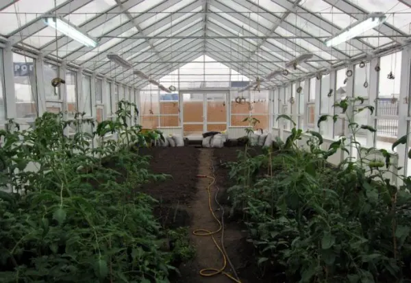 How to build a greenhouse with your own hands with heating: instructions