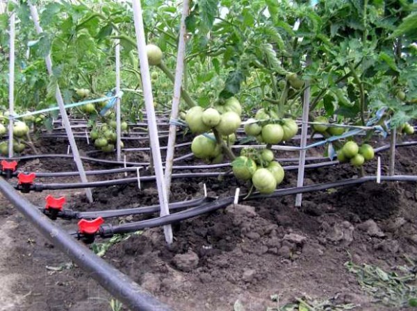 How to build a greenhouse with your own hands with heating: instructions