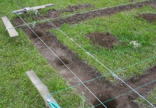 How to build a shed roof 