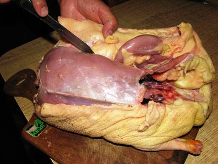 How to butcher a duck