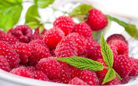 How to care for raspberries in spring