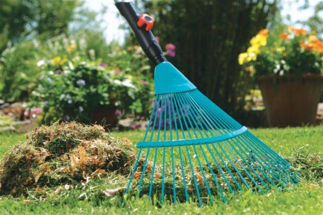 How to carry out spring general cleaning in the garden