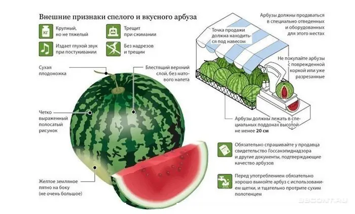 How to check nitrates in watermelon: effective ways