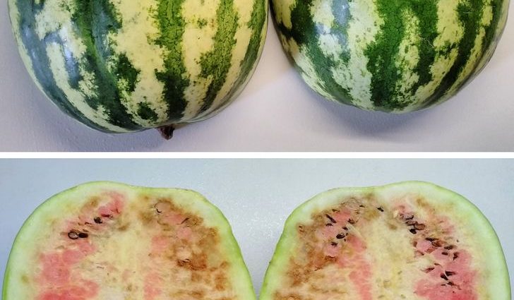 How to check nitrates in watermelon: effective ways