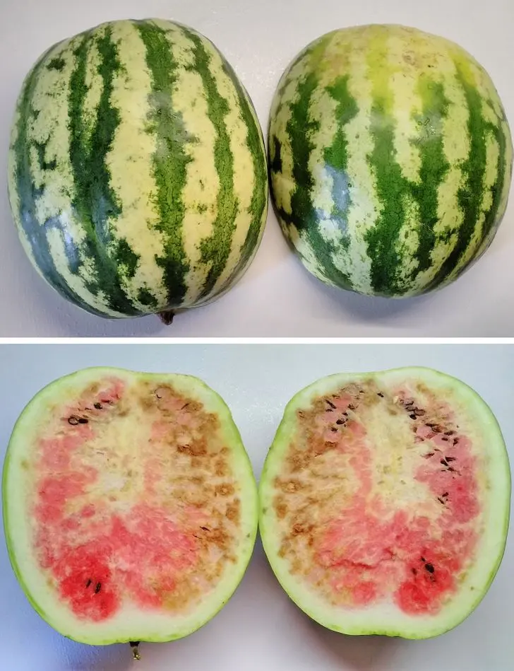 How to check nitrates in watermelon: effective ways