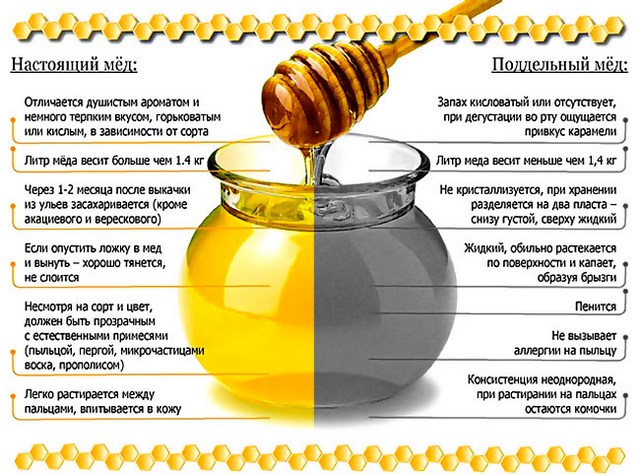 How to check the quality of honey at home by external signs + determination of naturalness with improvised means