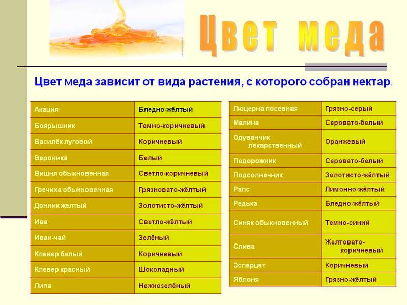 How to check the quality of honey at home by external signs + determination of naturalness with improvised means