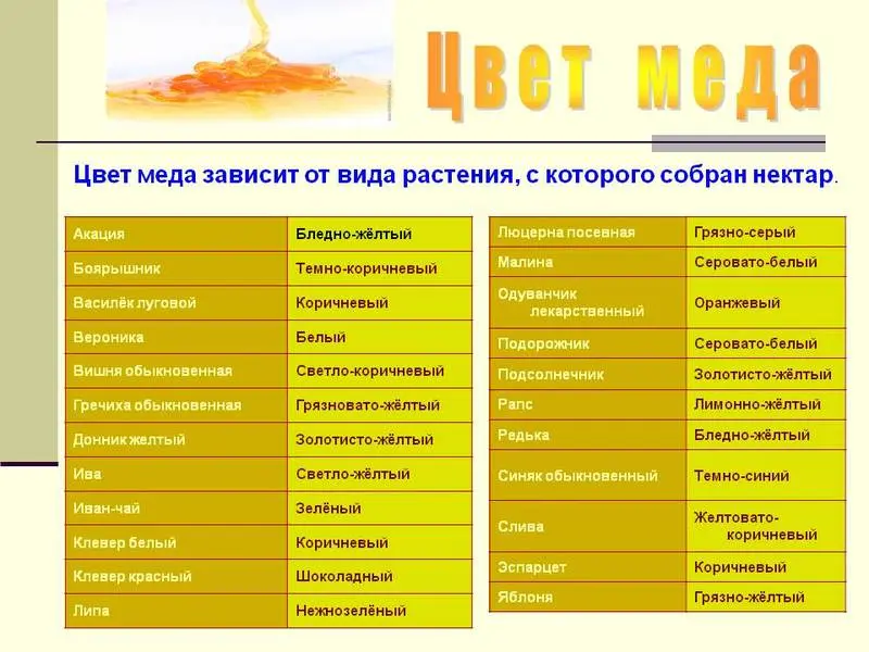 How to check the quality of honey at home by external signs + determination of naturalness with improvised means