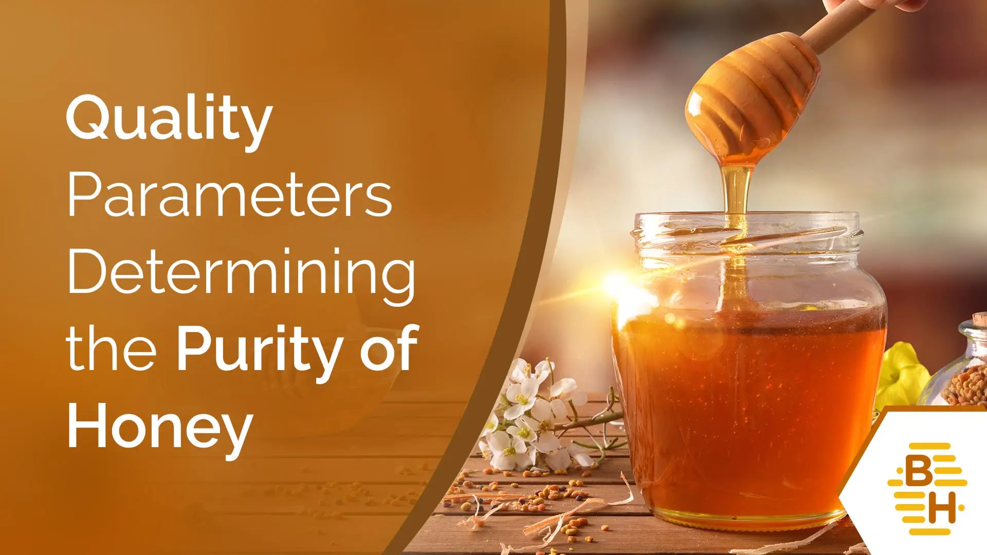 How to check the quality of honey at home by external signs + determination of naturalness with improvised means