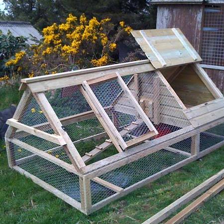 How to choose a chicken coop