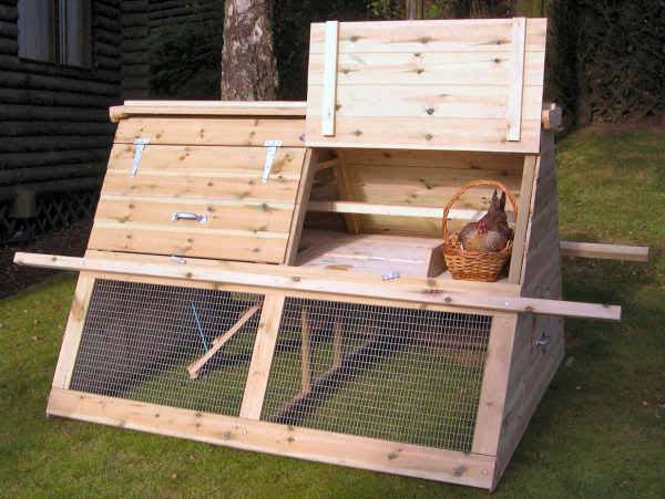 How to choose a chicken coop