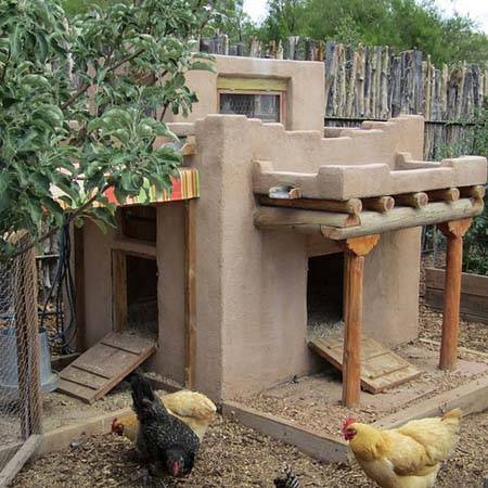 How to choose a chicken coop