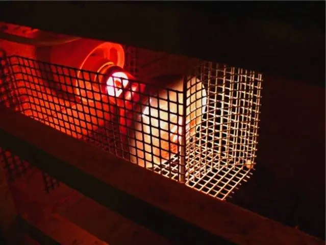 How to choose a chicken coop heater