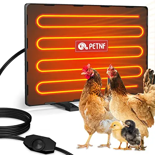 How to choose a chicken coop heater