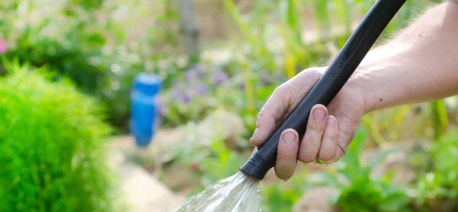 How to choose a hose for watering the garden and garden: expert advice