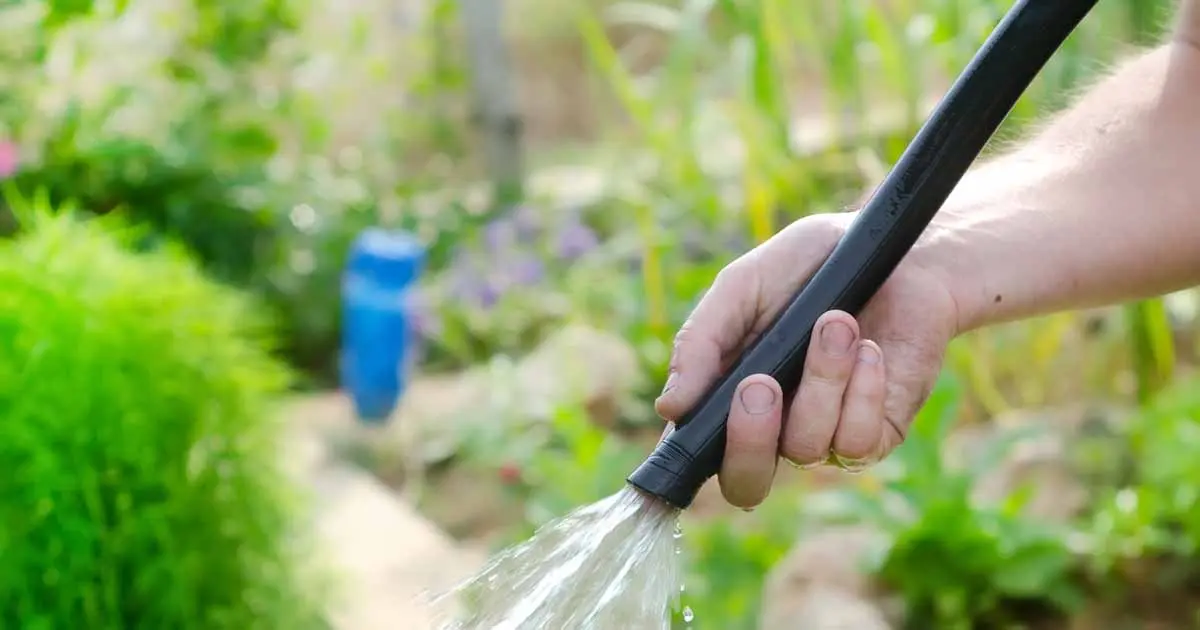 How to choose a hose for watering the garden and garden: expert advice