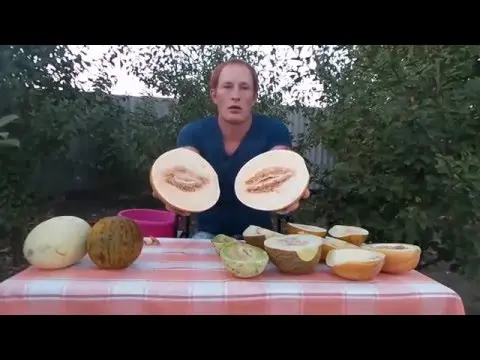 How to choose a melon - enjoy the juicy and tasty fruit