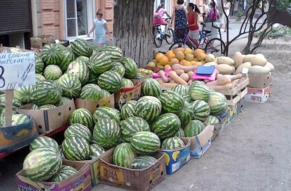 How to choose a ripe and tasty melon