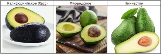 How to choose a ripe avocado in the supermarket