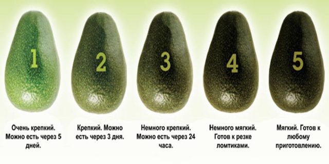 How to choose a ripe avocado in the supermarket