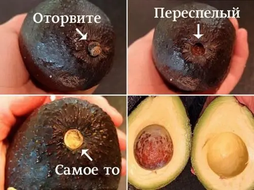 How to choose a ripe avocado in the supermarket