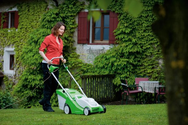 How to choose an electric lawn mower: tips