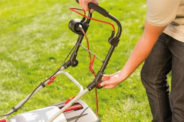 How to choose an electric lawn mower: tips