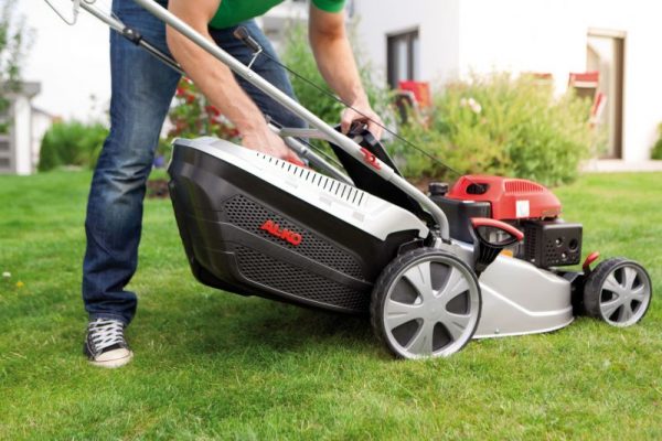 How to choose an electric lawn mower: tips