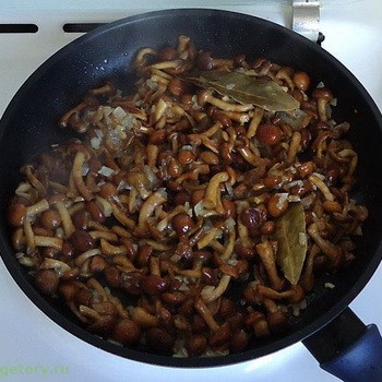 How to clean and wash mushrooms mushrooms after the forest