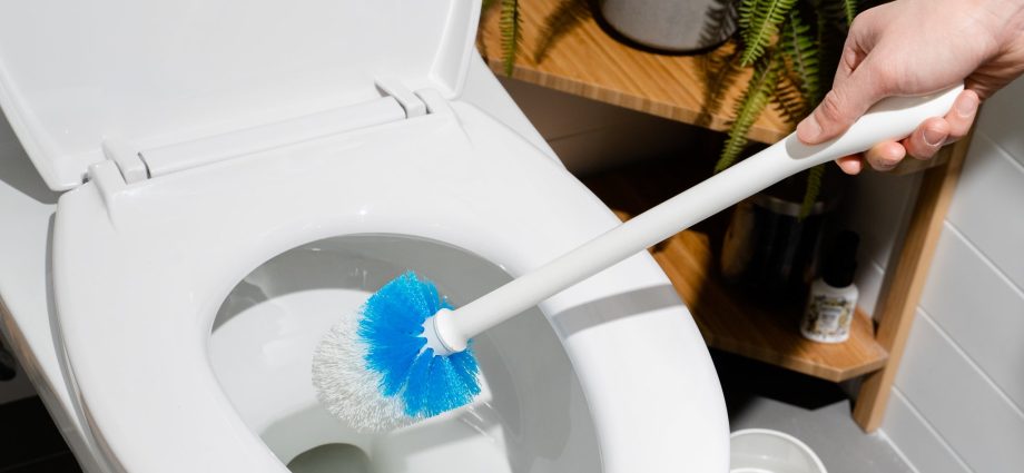 How to clean the toilet in the country with your own hands