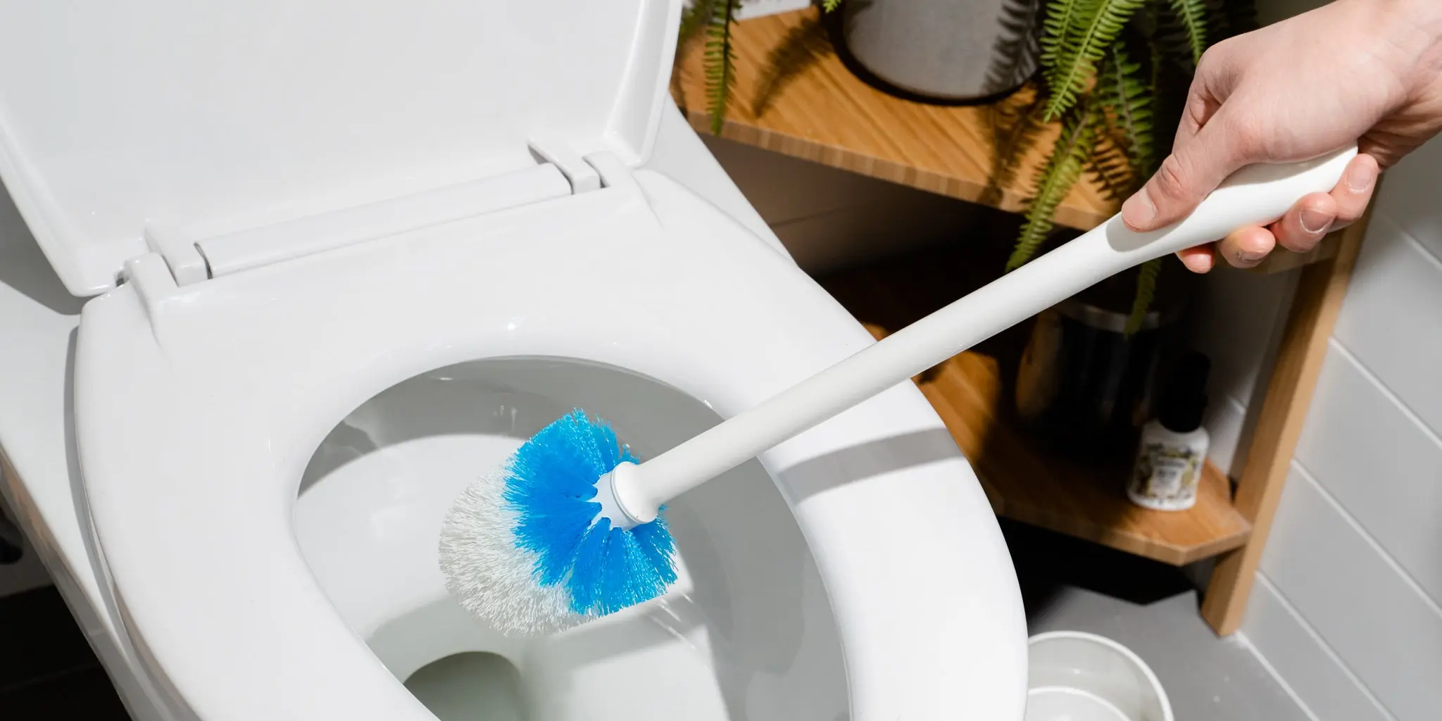 How to clean the toilet in the country with your own hands