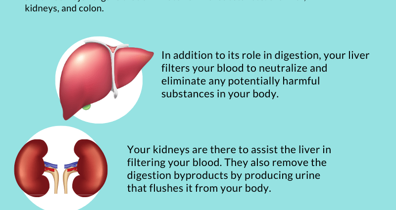 How to cleanse the body of toxins?