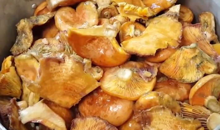 How to close mushrooms in a cold and hot way