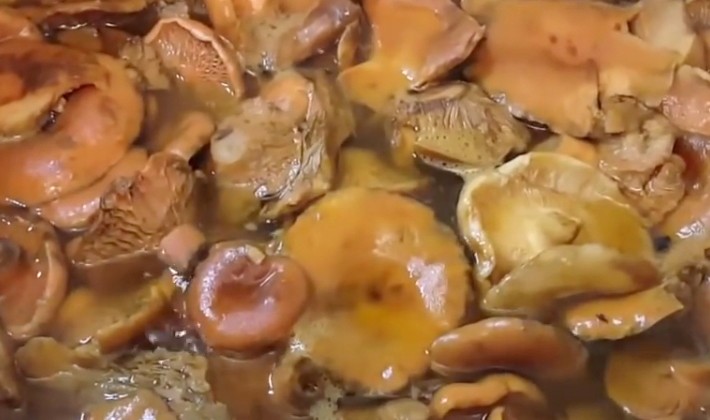 How to close mushrooms in a cold and hot way