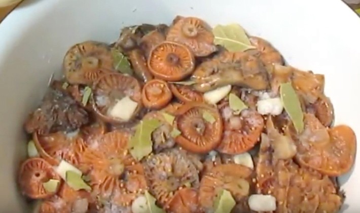 How to close mushrooms in a cold and hot way