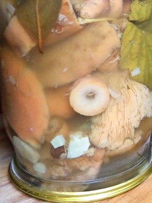 How to close mushrooms in a cold and hot way