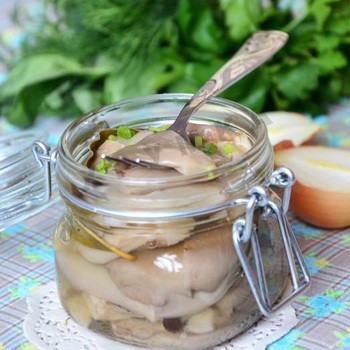 How to close oyster mushrooms for the winter in jars