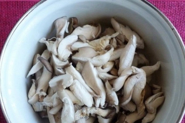 How to close oyster mushrooms for the winter in jars