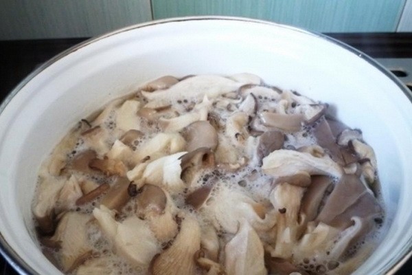 How to close oyster mushrooms for the winter in jars