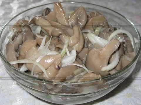 How to close oyster mushrooms for the winter in jars