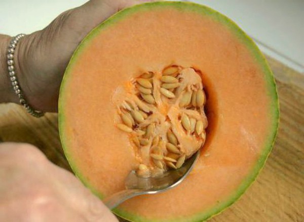 How to collect melon seeds and store them