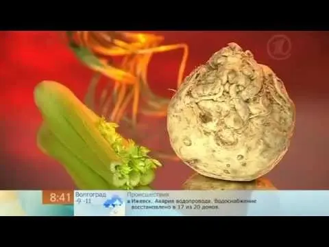 How to consume celery for weight loss